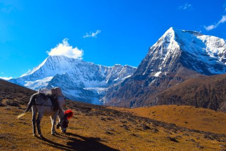 Bhutan Laya Gasa Trekking Tour – 19 Nights & 20 Days